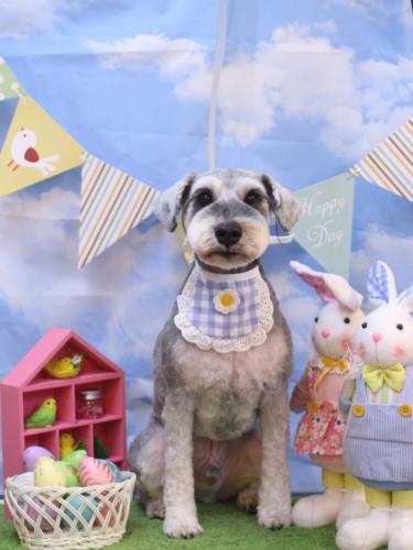 20240303バーツくん